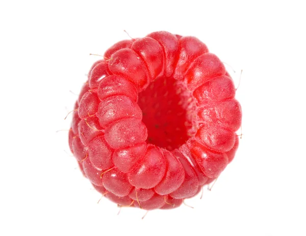 stock image Raspberry macro