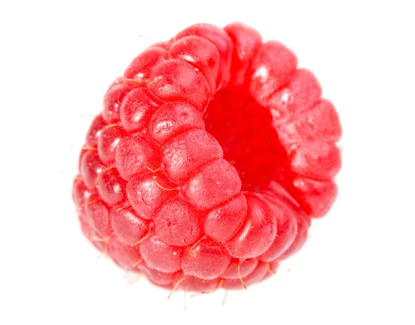 Raspberry macro — Stock Photo, Image