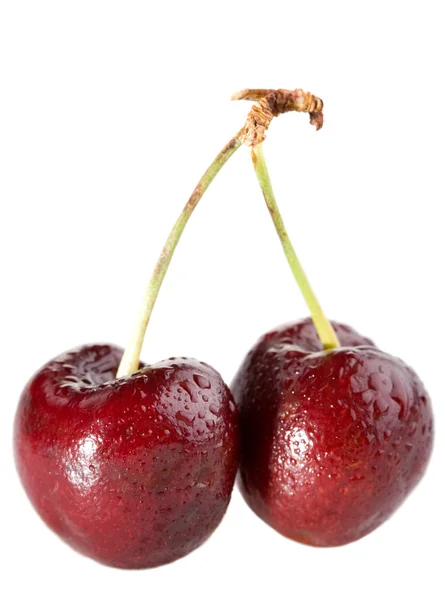 Cherry met druppels — Stockfoto