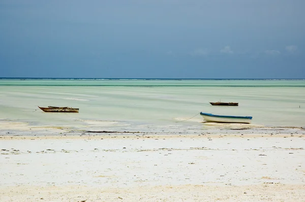 Zanzibar-4 — Zdjęcie stockowe