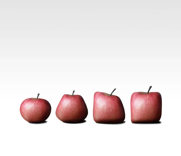 Apple evolution — Stock Photo, Image