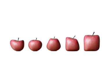 Evolution of apple clipart