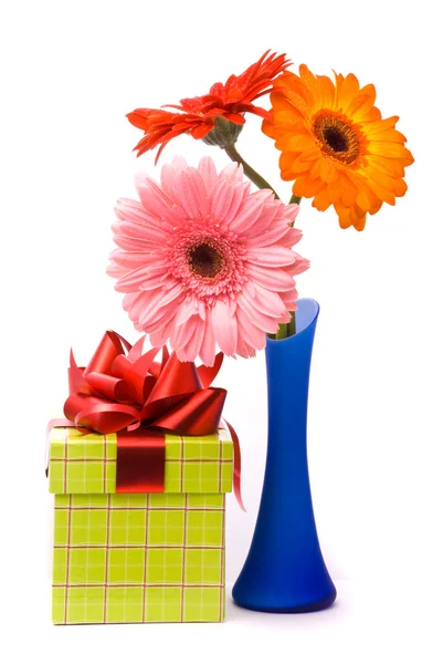Hermosas flores de gerber en jarrón azul —  Fotos de Stock