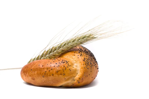 Single fresh bun and ear of wheat — ストック写真