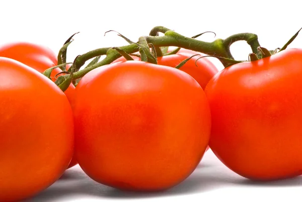 新鮮なトマト — ストック写真