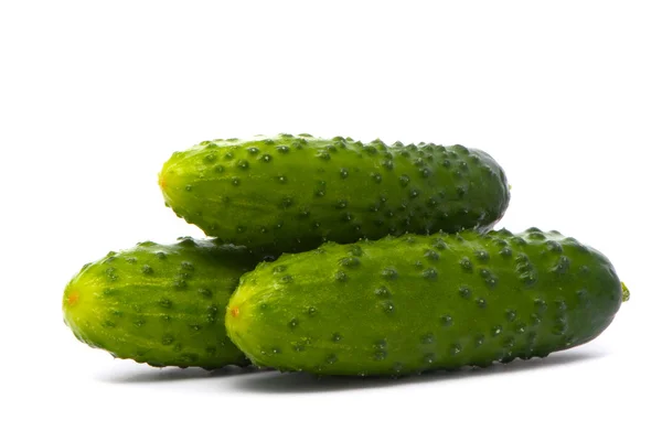 Fresh cucumbers on studio white — Stock Photo, Image