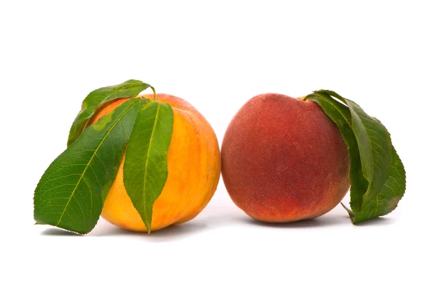 Perzik fruit met groene bladeren — Stockfoto