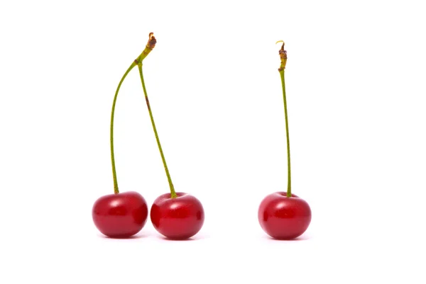 Cherry na bílém pozadí — Stock fotografie