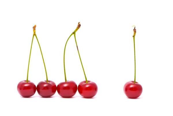 Cherry on white background — Stock Photo, Image