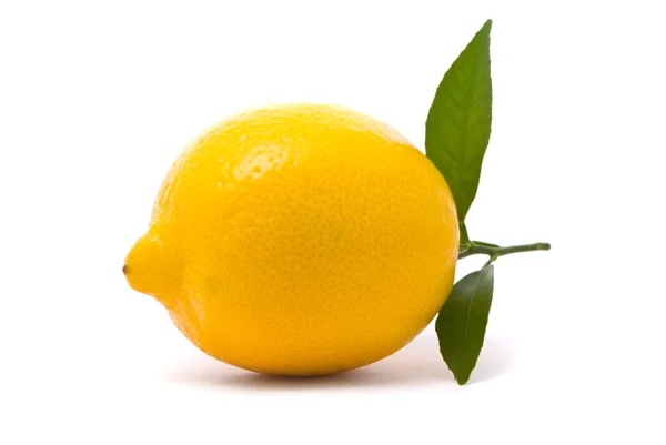 Zitrone mit frischen Blättern — Stockfoto