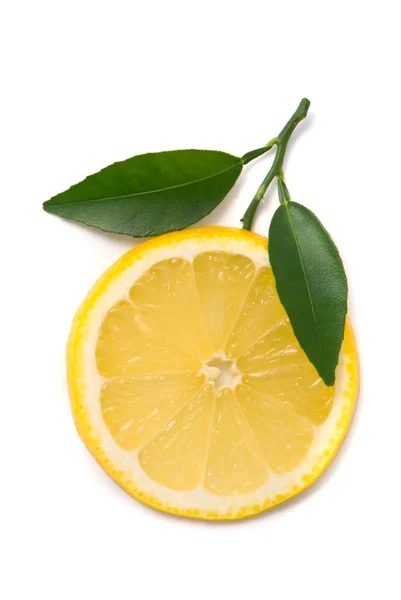 Rebanada de limón con hojas frescas — Foto de Stock
