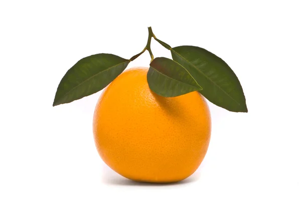 Čerstvý pomeranč. makro studio bílá. — Stock fotografie