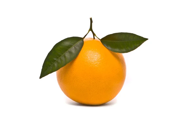 Frische Orange. macro studio weiß. — Stockfoto