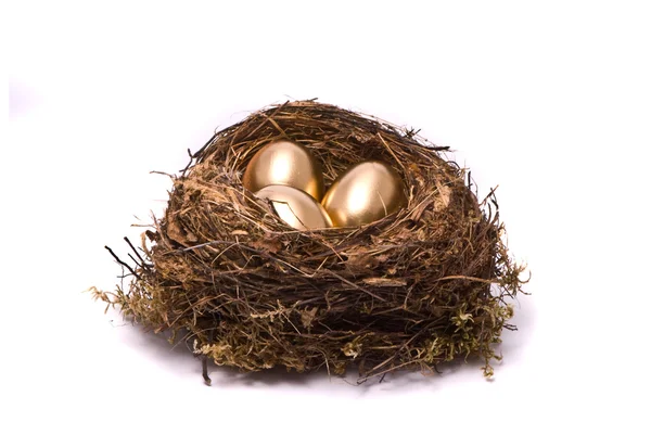 Χρυσά αυγά σε φωλιά — Φωτογραφία Αρχείου
