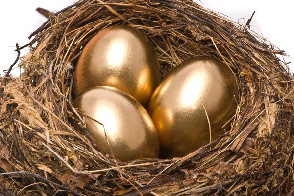 Gold eggs in a nest — Stock Photo, Image