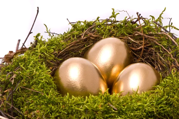 Gold eggs in a nest — Stock Photo, Image