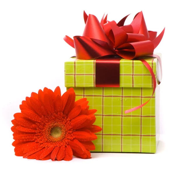 Red gerber flower and gift box — Stock Photo, Image