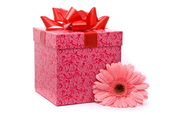 Roze gerber bloem en geschenk doos — Stockfoto