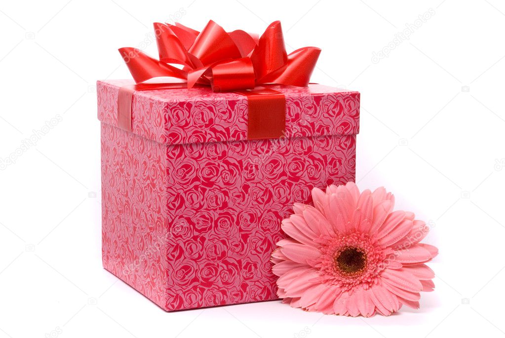 Pink gerber flower and gift box