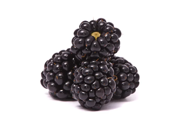 아름 다운 검은 딸기 — 스톡 사진