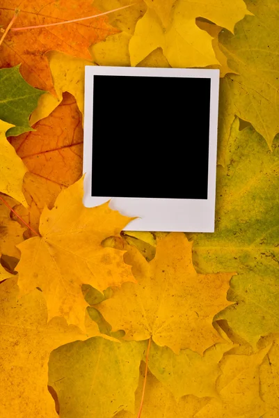 Prázdná karta s měkký stín — Stock fotografie