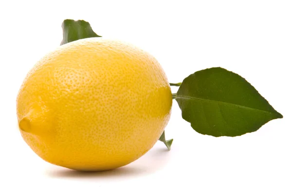 Limone fresco — Foto Stock