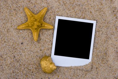 Altın deniz kabukları ile fotoğraf çerçevesi