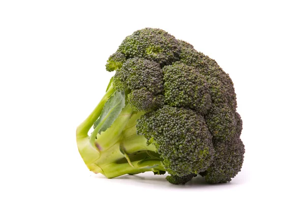 Verse broccoli — Stockfoto
