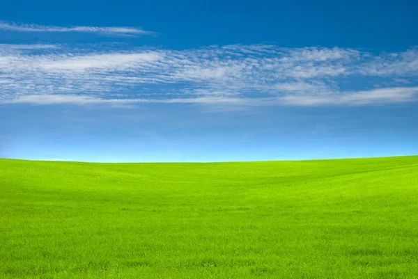 Błękitne niebo i zielone pole — Zdjęcie stockowe