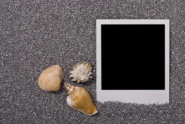 Photo frame with sea shells — Stock Photo, Image