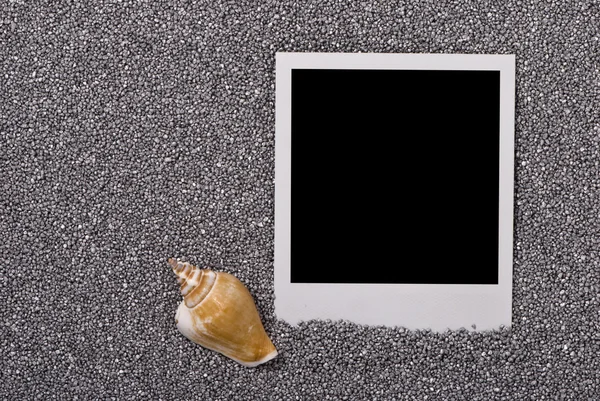 Photo frame with sea shell — Stock Photo, Image