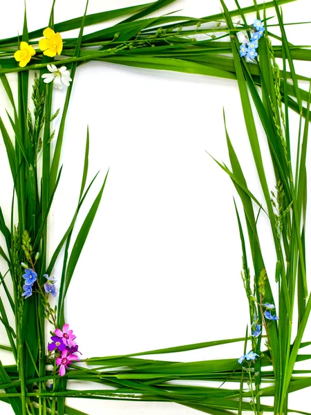 Původní rám trávy s květinami — Stock fotografie