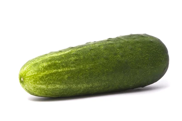 One fresh cucumber — Stock Photo, Image