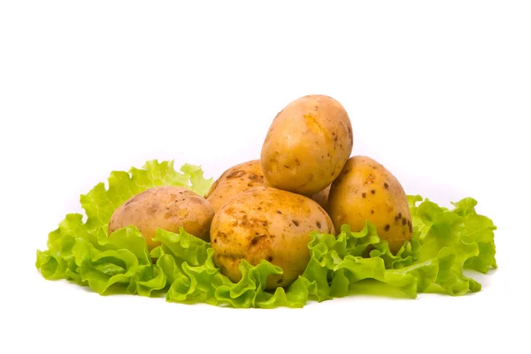 stock image Potatoes on studio white