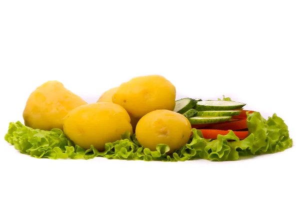 Gekookte aardappelen — Stockfoto