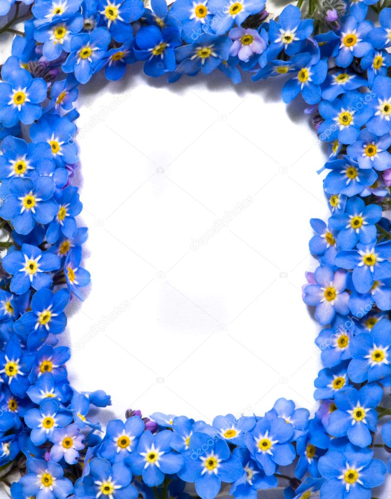Forget-me-not flowers frame
