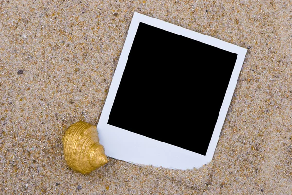 Altın deniz kabukları ile fotoğraf çerçevesi — Stok fotoğraf