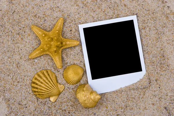Photo frame with golden sea shells — Stock Photo, Image