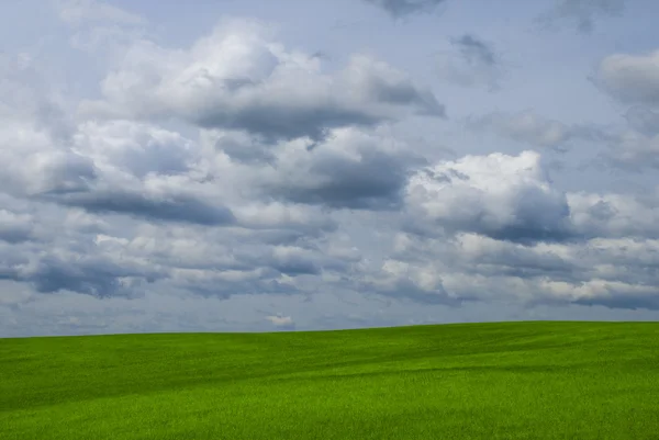 Cielo azul y campo verde — Foto de Stock