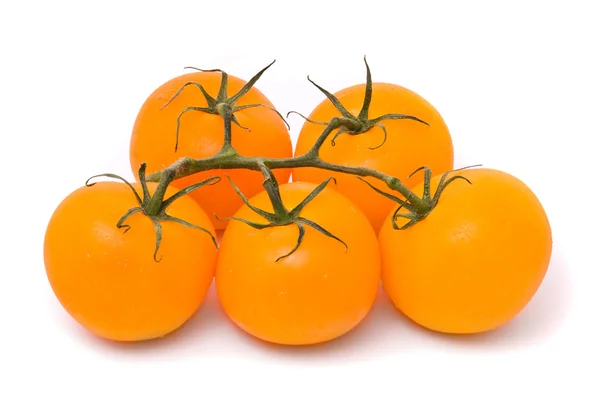 Färska tomater. Studio vit bakgrund. — Stockfoto