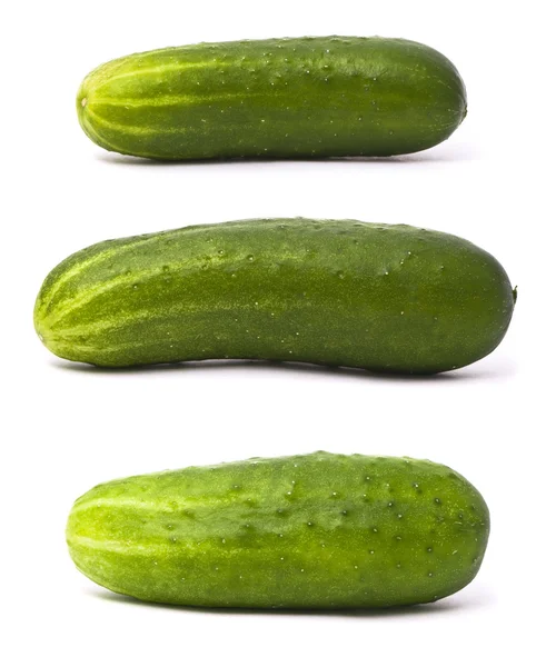 Verse komkommers set — Stockfoto