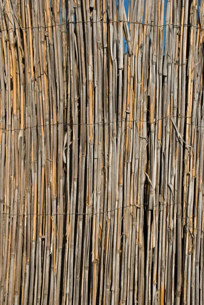 Bambu trä bakgrund — Stockfoto