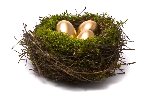 Gouden eieren in een nest — Stockfoto
