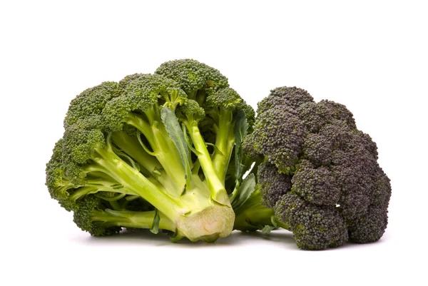 Broccoli freschi isolati sul bianco — Foto Stock