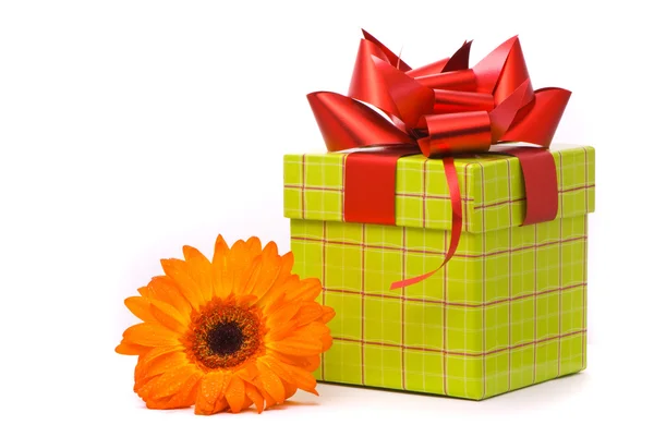 Апельсиновый цветок гербера и подарочная коробка — стоковое фото