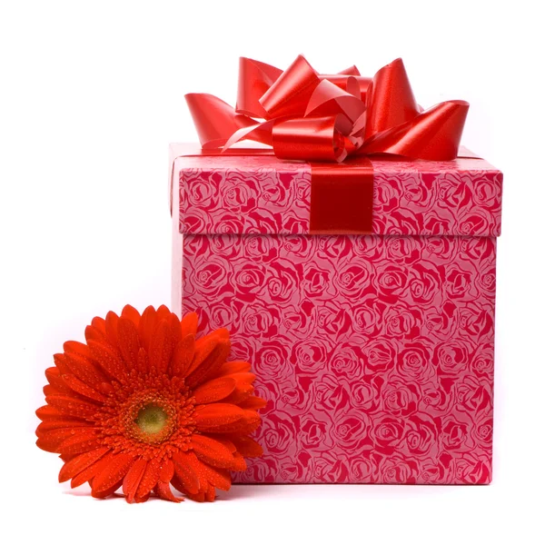 Orange Gerber Blume und Geschenkbox — Stockfoto