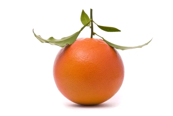 Свежий грейпфрут — стоковое фото