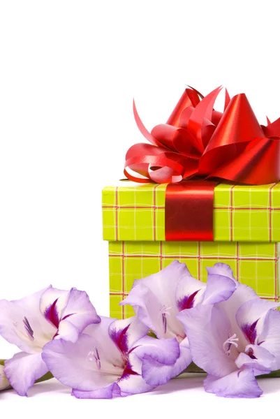 Vackra gladiolus och gift box — Stockfoto