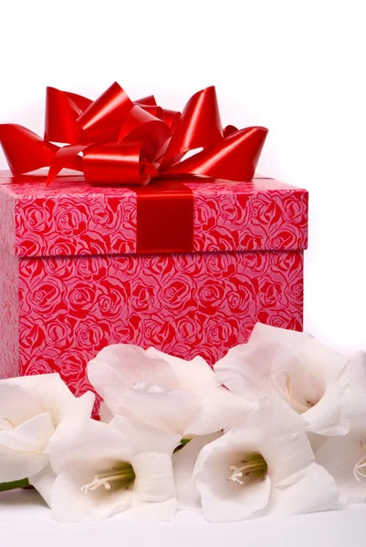Schöne Gladiolen und Geschenkbox — Stockfoto