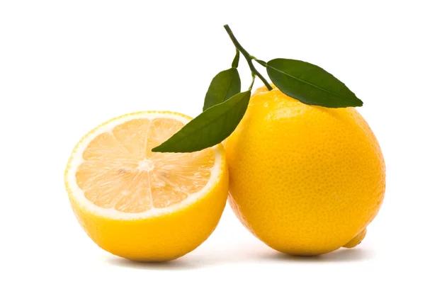 用新鲜叶子柠檬 — 图库照片